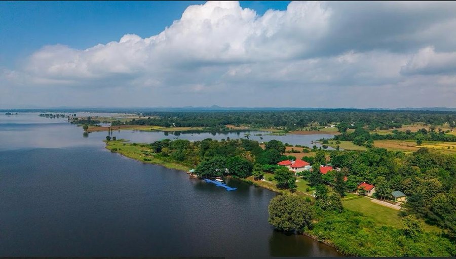 Aerial view at The Forest Chapter by Sayaji, Madhai