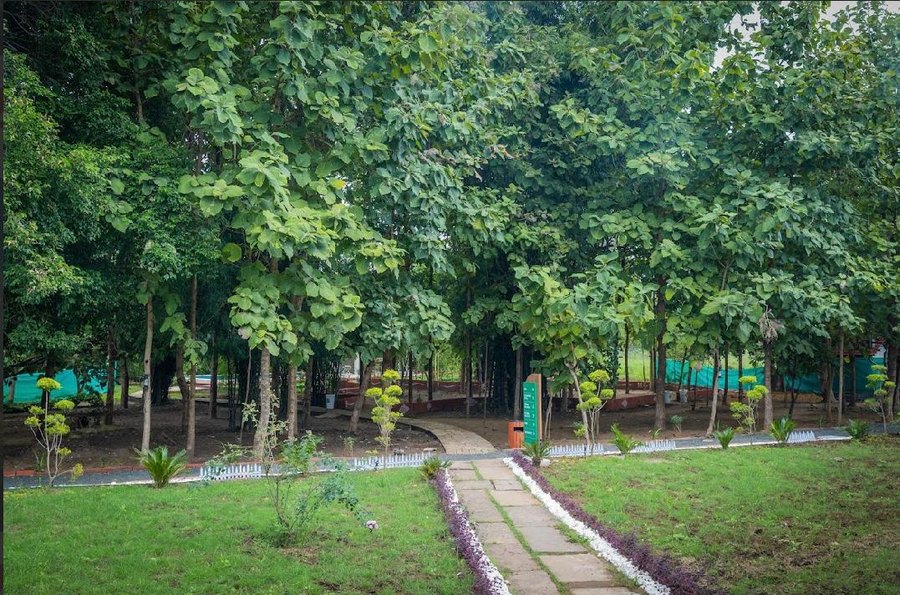 Garden path at The Forest Chapter by Sayaji, Madhai